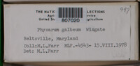Image Associated With the Occurence